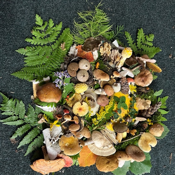 CLOSET CLOSING - PRICES ARE MARKED - Picture 4 of 7